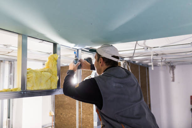 Best Local Insulation Services  in Walnut Creek, NC