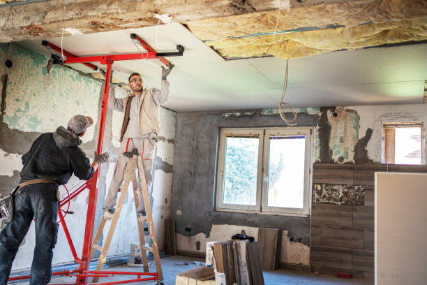 Best Attic Insulation Installation  in Walnut Creek, NC